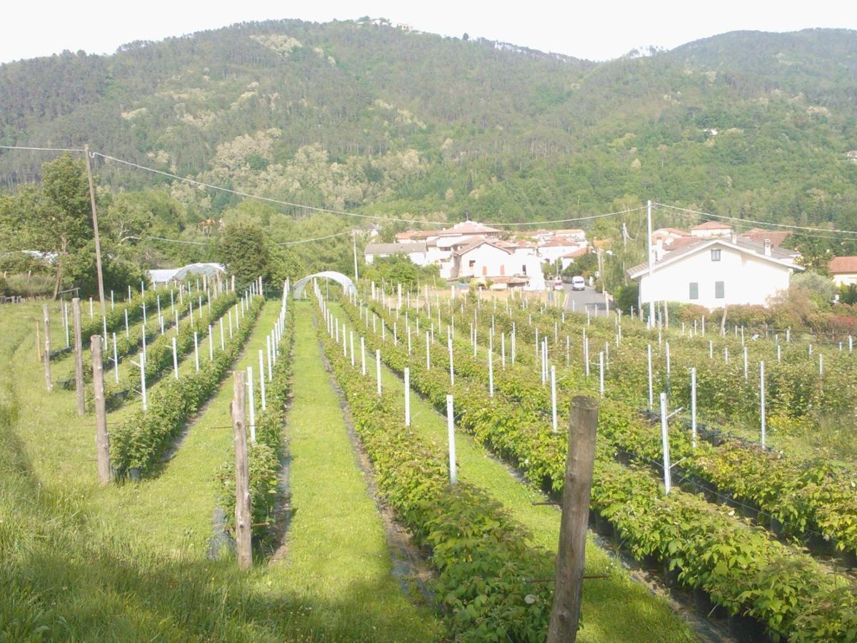 Agriturismo Tenuta Valletti. Sesta Godano Εξωτερικό φωτογραφία