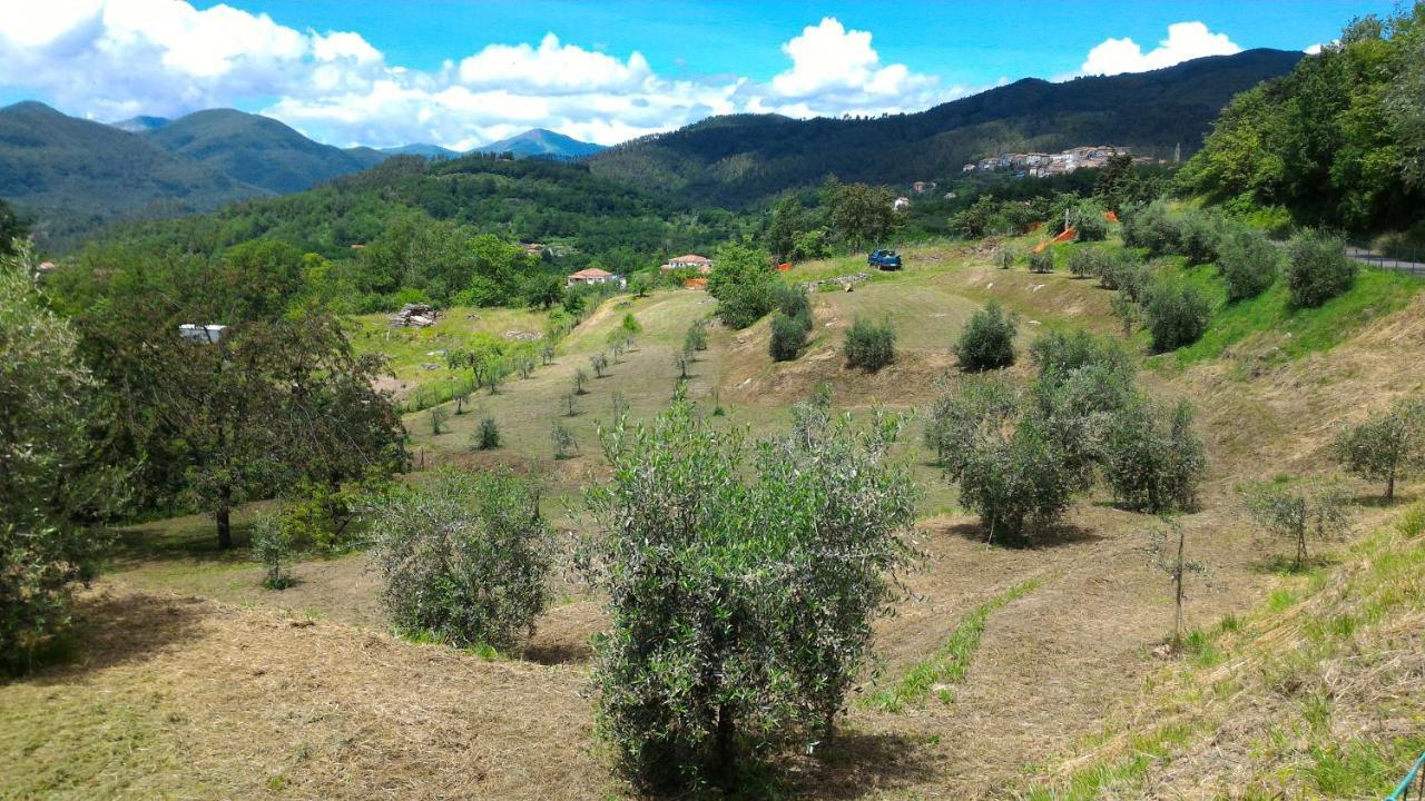 Agriturismo Tenuta Valletti. Sesta Godano Εξωτερικό φωτογραφία