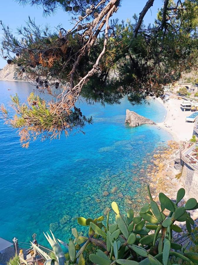 Agriturismo Tenuta Valletti. Sesta Godano Εξωτερικό φωτογραφία