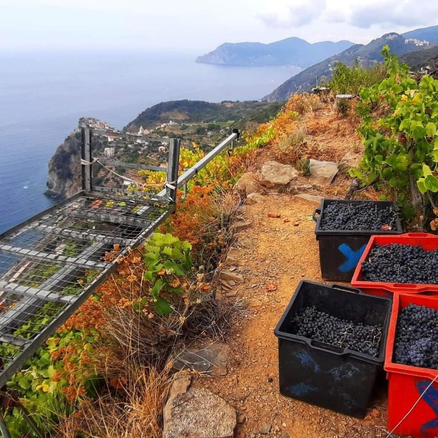 Agriturismo Tenuta Valletti. Sesta Godano Εξωτερικό φωτογραφία